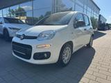 Fiat Panda Easy Standheizung Sitzheizung - Fiat Panda Gebrauchtwagen in Stuttgart