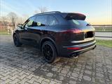 Porsche Cayenne S Platinum Edition - Porsche Gebrauchtwagen in Münster