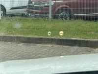 Volvo S60 - Vorschau Bild 20