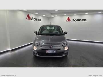 Fiat 500 - 2