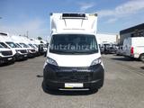 Peugeot Boxer Kühlkoffer Xarios 300 BÄR LBW Camera - Peugeot Koffer