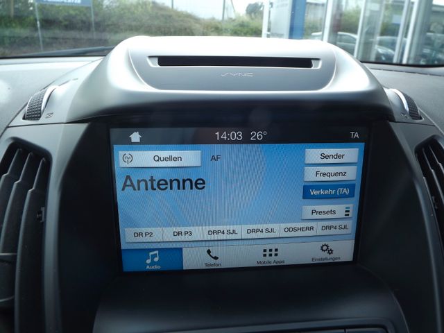 Kuga Trend