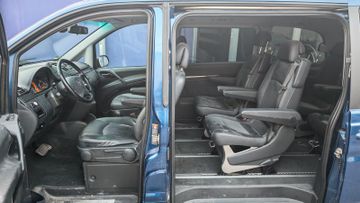 Mercedes Viano - 3