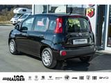 Fiat Pandina ICON Hybrid 1.0 GSE TEMPOMAT PDC LANE KL - Fiat New Panda: Kleinwagen