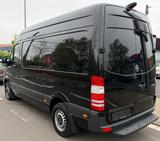 Mercedes-Benz Sprinter 213 CDI Kasten L2H2 Werkstatt|Standhzg - schwarze Mercedes-Benz Sprinter