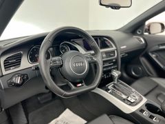 AUDI A5 Cabrio 3.0 TDI  /3x S-LINE /  / V6 /B&O / 1.H