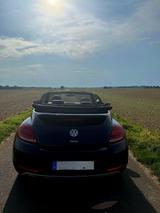 Volkswagen Beetle 1.2 TSI DSG BMT Dune Cabriolet Dune - mit Benzin-Antrieb: Teilleder, Alarmanlage, Cabrio, mit Klimaautomatik