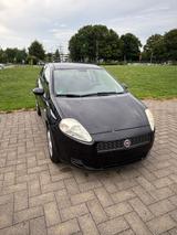 Fiat Punto 1.4 8V Dynamic Dynamic - Fiat Punto mit Benzin-Antrieb: Dynamic