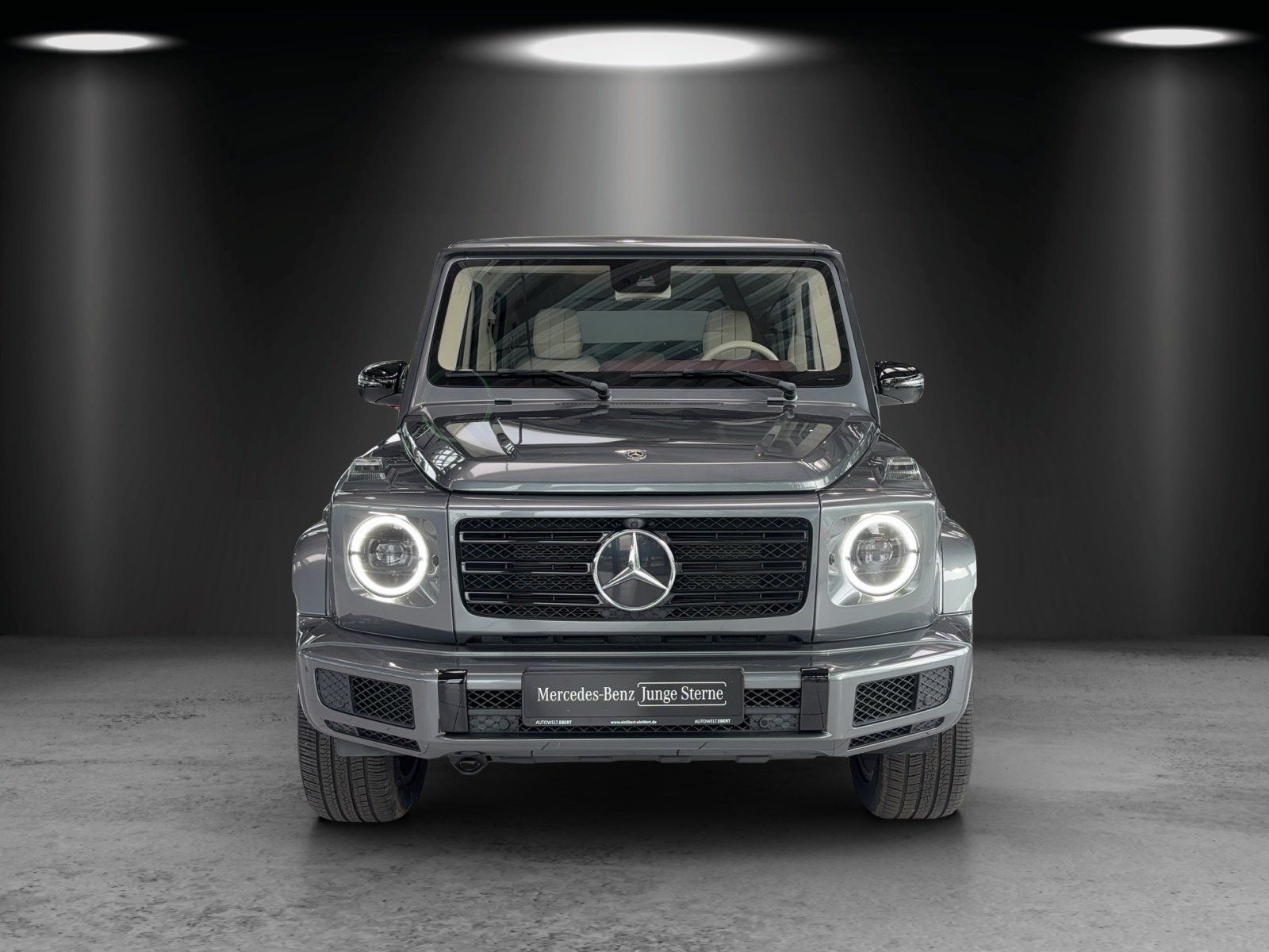 Fahrzeugabbildung Mercedes-Benz G 500 orig.KM Stronger than time AMG Standhzg TV