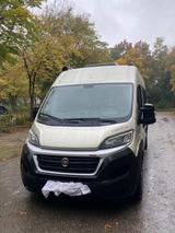 Globecar Campscout Elegance - 2 Einzelbetten - Fiat Maxi - Globecar Elegance