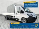 Opel Movano EK Pritsche 2.2 Diesel L3 3,5t / Kamera