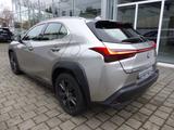 Lexus UX 250h Launch Edition Navi Kamera Velours DAB - Lexus aus 2019