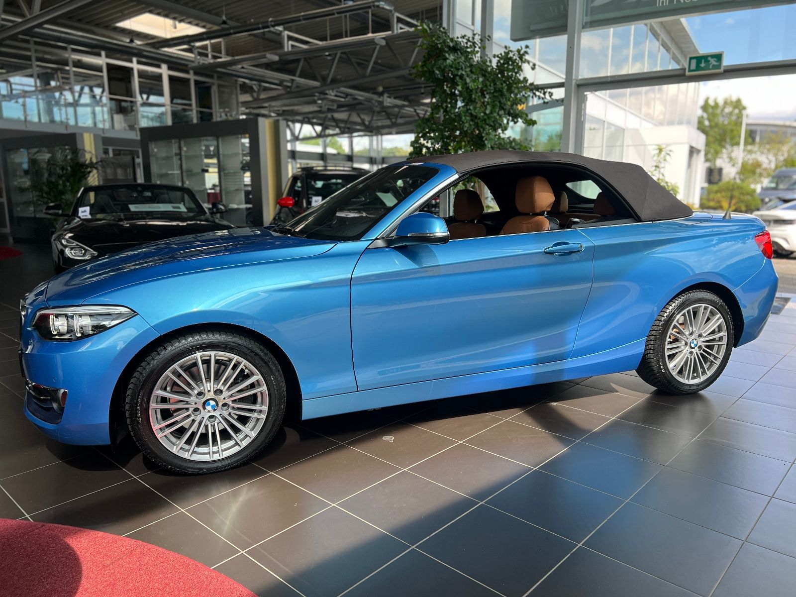 Fahrzeugabbildung BMW 220i Cabrio Luxury Line NAV LED PDC