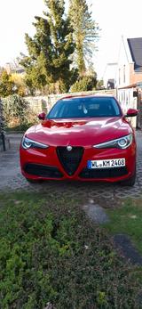 Alfa Romeo Stelvio 2.0 Turbo 16V 206kW Lusso AT8-Q4 Lusso - Alfa Romeo Stelvio lusso mit Benzin-Antrieb