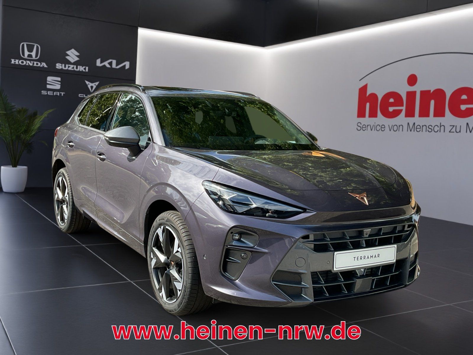 Cupra Terramar - Bild 2