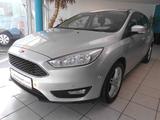Ford Focus Turnier 1,5 TDCI Business Navi - Ford Focus Business mit Diesel-Antrieb