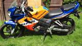 Honda CBR 125 Repsol TÜV Juli 2027, 16462 km, 15 PS - HONDA 2005 CBR 125
