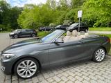 BMW 230i Steptronic Cabrio Luxury Line Luxury Line - scheckheftgepflegte BMW 230