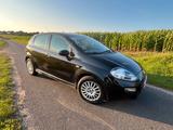 Fiat Punto 0.9 8V TwinAir Start&Stopp - - Fiat Punto Start mit Benzin-Antrieb