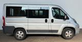 Fiat Ducato Luxusbus Panorama 30 130 L1H1 RS: 3000 mm - Fiat 8-Sitzer