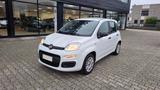 Fiat Panda 1.2 Easy easypower Gpl 69cv my19 - Fiat Panda Cabrio Gebrauchtwagen