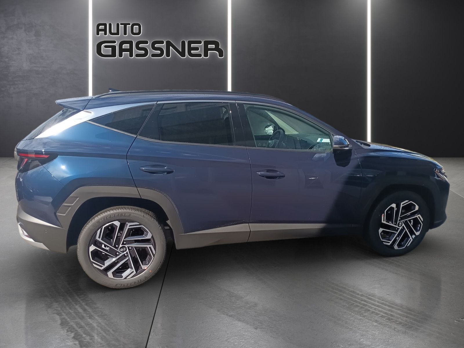 Fahrzeugabbildung Hyundai Tucson Hybrid Prime 239PS 4WD Assip.