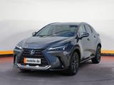 Lexus NX 350h Executive Line + Interieur Paket + Techn - Lexus NX-Serie in Köln