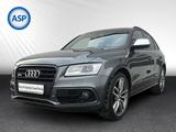Audi SQ5 3.0 TDI S Tronic competition quattro XEN NAV - Audi SQ5 Gebrauchtwagen