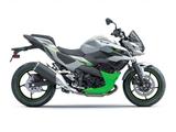 Kawasaki Z7 Hybrid Junge Gebrauchte Top Zustand - Angebote entsprechen deinen Suchkriterien