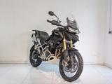 Triumph Tiger 1200 Rally Pro E5+ - TRIUMPH NEU