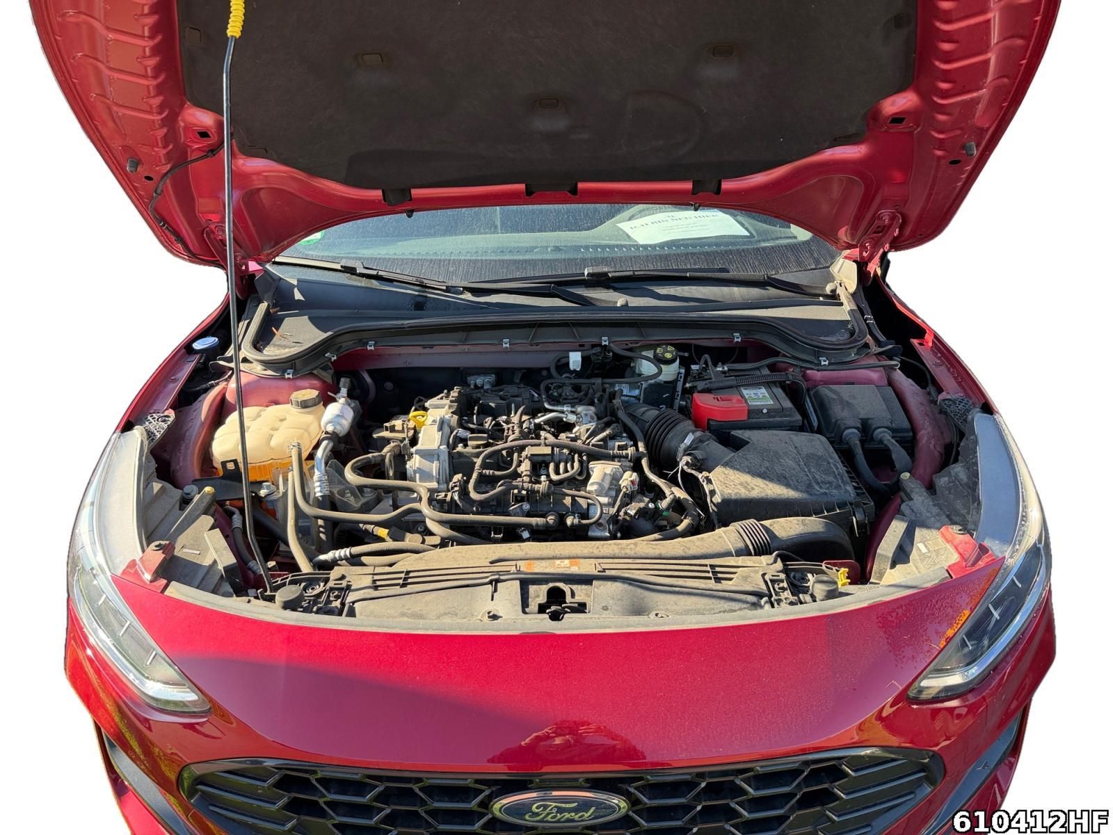 Fahrzeugabbildung Ford Focus ST-Line
