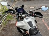 Triumph Tiger Rally Pro 900 - TRIUMPH TIGER 900