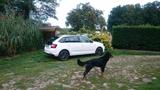Skoda rapid spaceback
