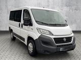 Fiat Ducato Luxusbus Panorama 30 150 L1H1 *9 Sitzer* - : Van, Luxus