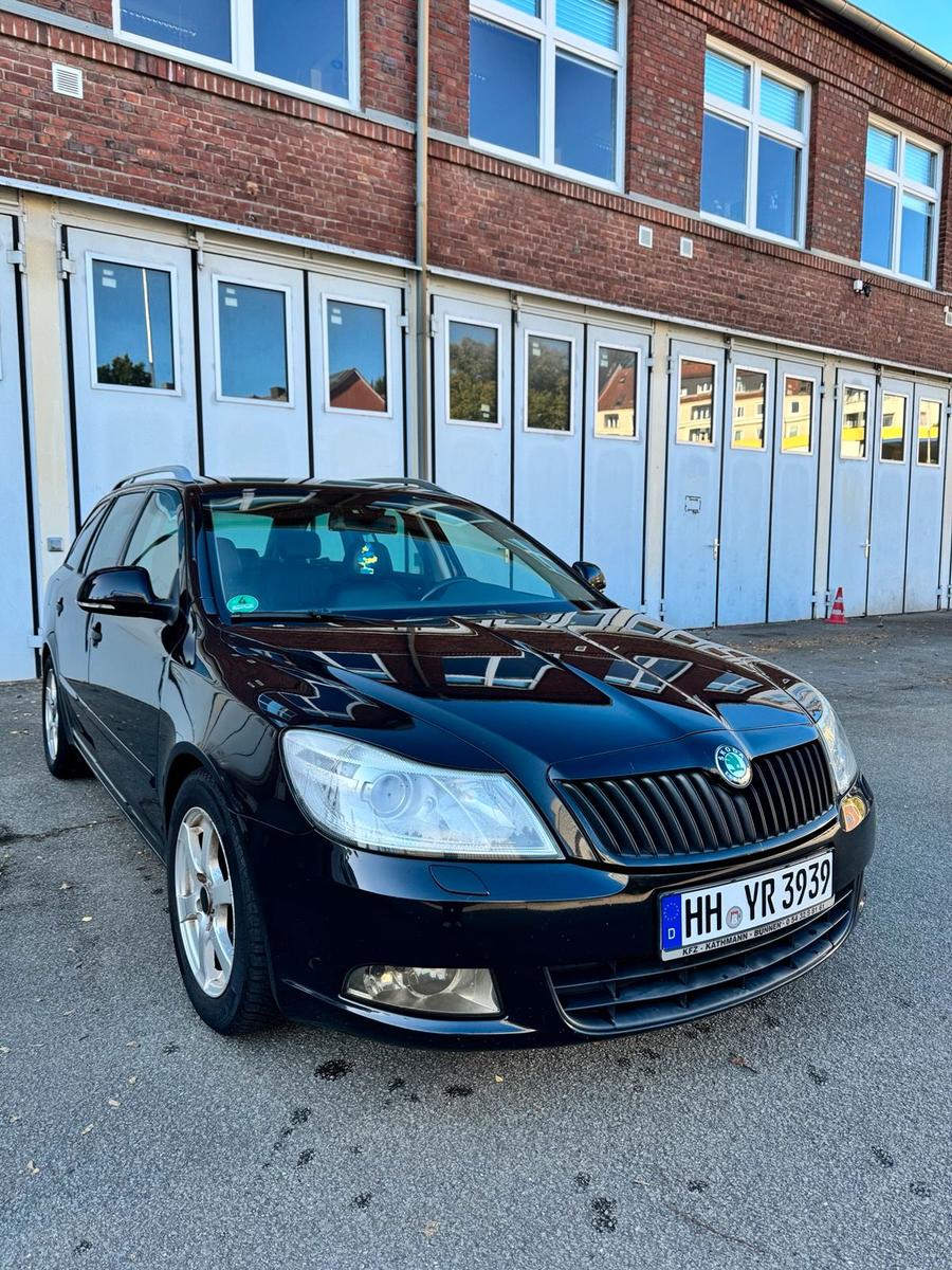 Skoda Octavia 2009 — rear view