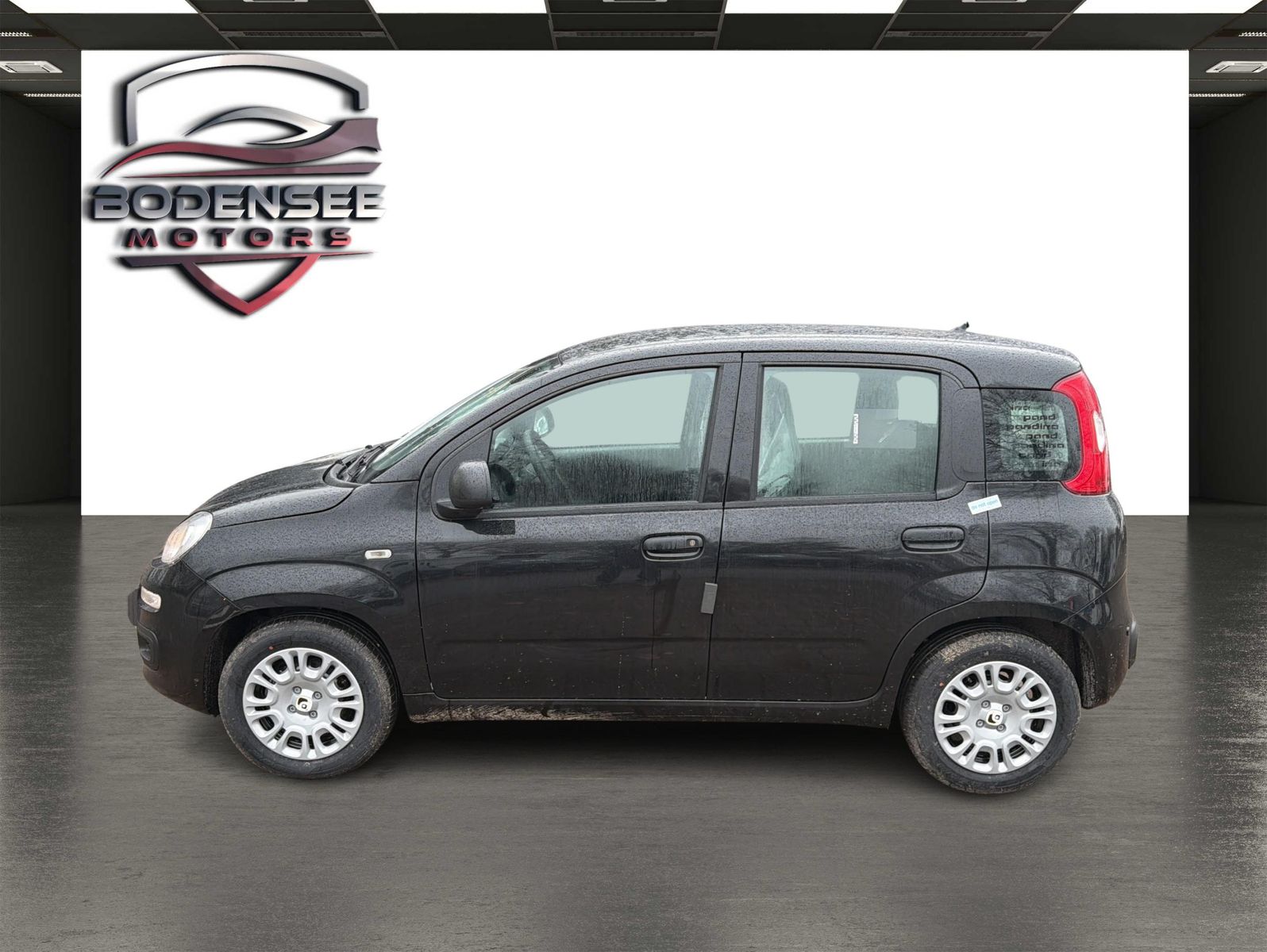 Fahrzeugabbildung Fiat Panda Pandina Icon