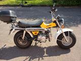 Skyteam T-Rex 125 - SKYTEAM MOTORRAD