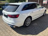 Audi A4 Av. 40 TFSI qu.AHKMatrix,Standh.,RFK,ACC,Nav, - Audi A4: TFSI