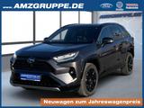 Toyota RAV 4 Hybrid 2Tone+Leder+el.Heckklappe - Toyota RAV 4 Gebrauchtwagen in Chemnitz