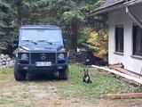 Mercedes-Benz G 300 TD Lang 463 - Mercedes-Benz G 300: G300td