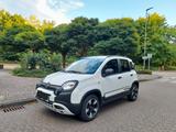 Fiat Panda 1.2 Cross, Teilleder, PDC, Klimaautomatik  - Fiat Panda Gebrauchtwagen in Bochum