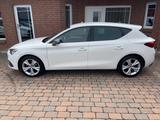 Seat Leon FR 2.0 TDI Kamera Navi LED APP - Seat Gebrauchtwagen von 2023