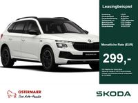 Skoda Kamiq - Vorschau Bild 1