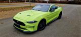 Ford Mustang 5.0 Ti-VCT V8 GT Deutsche Ausführung ! - : Sportwagen, Deutsche