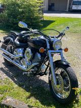 Yamaha Xvs 1100 - YAMAHA XV 1100