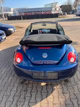 Volkswagen New Beetle 1.9 TDI DPF Freestyle Cabriolet F... - Volkswagen New Beetle mit Diesel-Antrieb: Cabrio