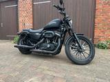 Harley-Davidson Sportster Iron 883 (XL883N) - Harley-Davidson Sportster Iron 883