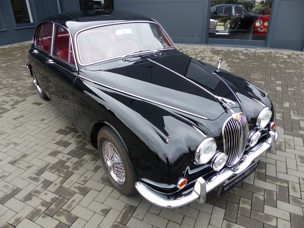 Jaguar Andere