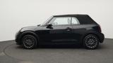 MINI Cooper C Cabrio - MINI Cooper Cabrio Jahreswagen