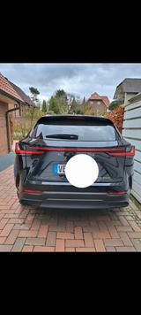 Lexus NX 350h 350h Executive Line Executive Line - Lexus aus 2024: Nx